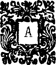 125/125340040002950_0.png