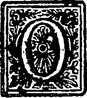 125/125340040002990_0.png
