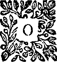 125/125340040003350_0.png