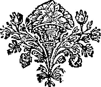 125/125340040003520_0.png
