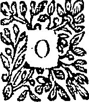125/125340040003660_0.png