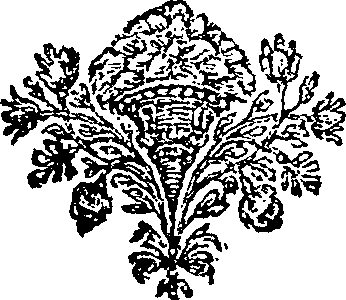 125/125340040004590_0.png