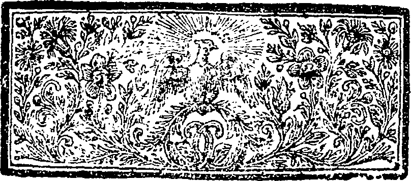 125/125340040005170_1.png