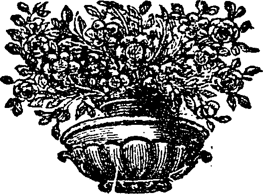 125/125560050000010_1.png
