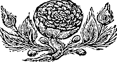 125/125590080000030_0.png