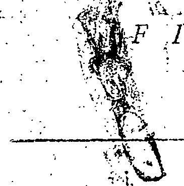 125/125700050005840_0.png