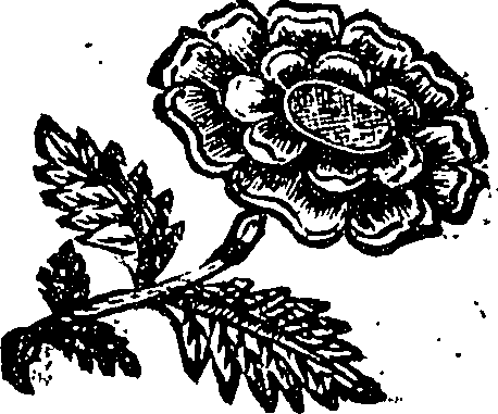 125/125980090000970_0.png