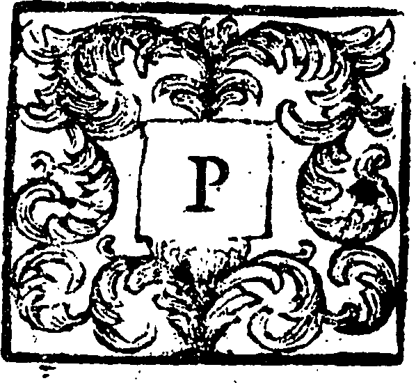 126/126020080000020_0.png
