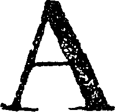 126/126020090000560_0.png