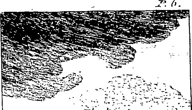 126/126130040100160_0.png