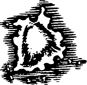 126/126170120101480_0.png