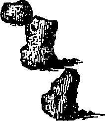 126/126400010000510_1.png