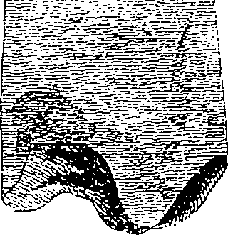 126/126400010003020_0.png