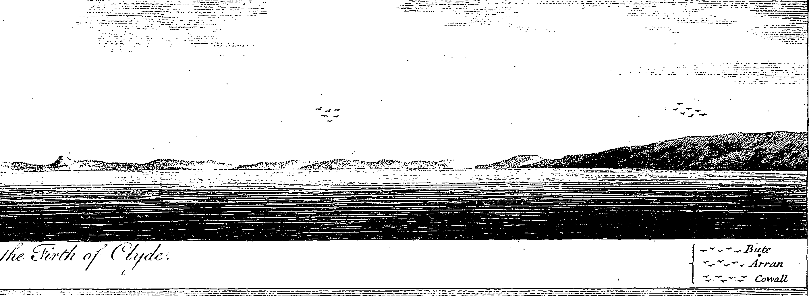 126/126400010003360_1.png