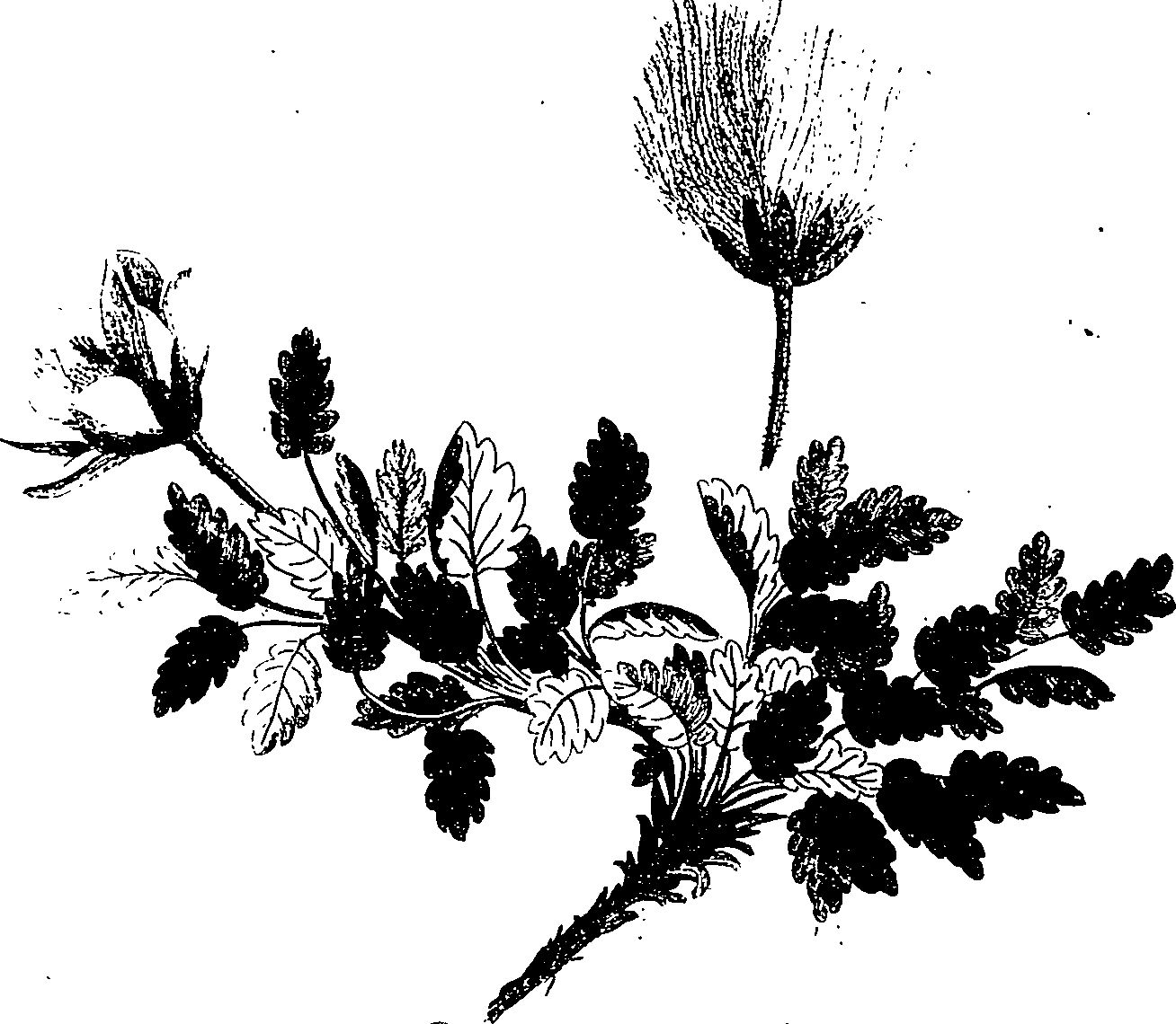 126/126400010003710_0.png