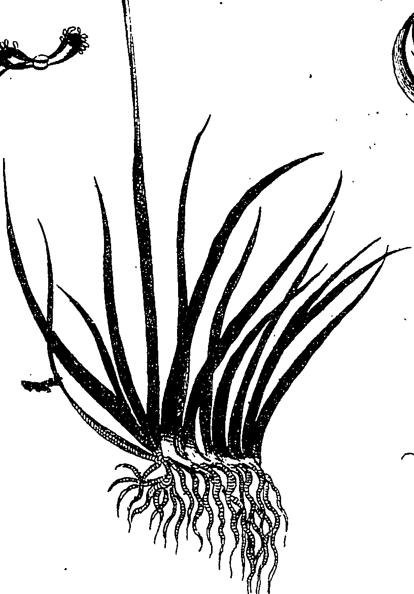 126/126400010004150_0.png