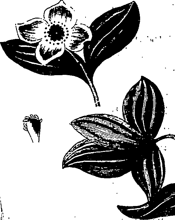 126/126400010004150_1.png