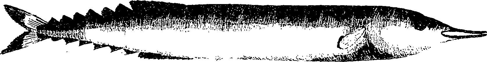 126/126400020000360_0.png