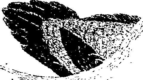 126/126400020000570_0.png
