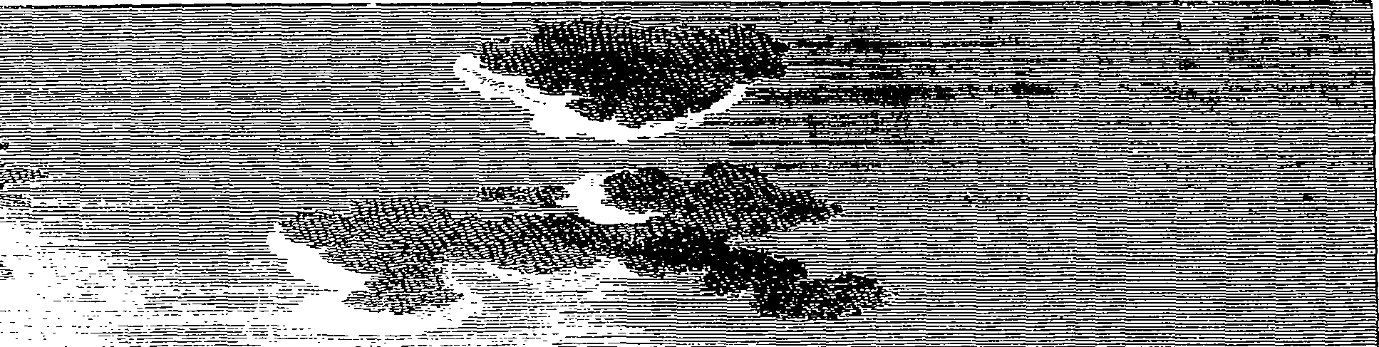 126/126400020001410_0.png
