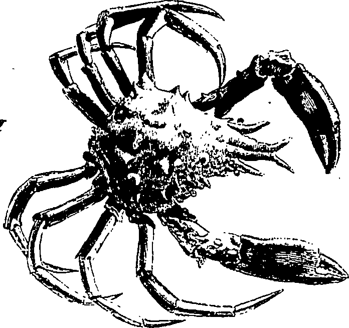 126/126400020001610_0.png