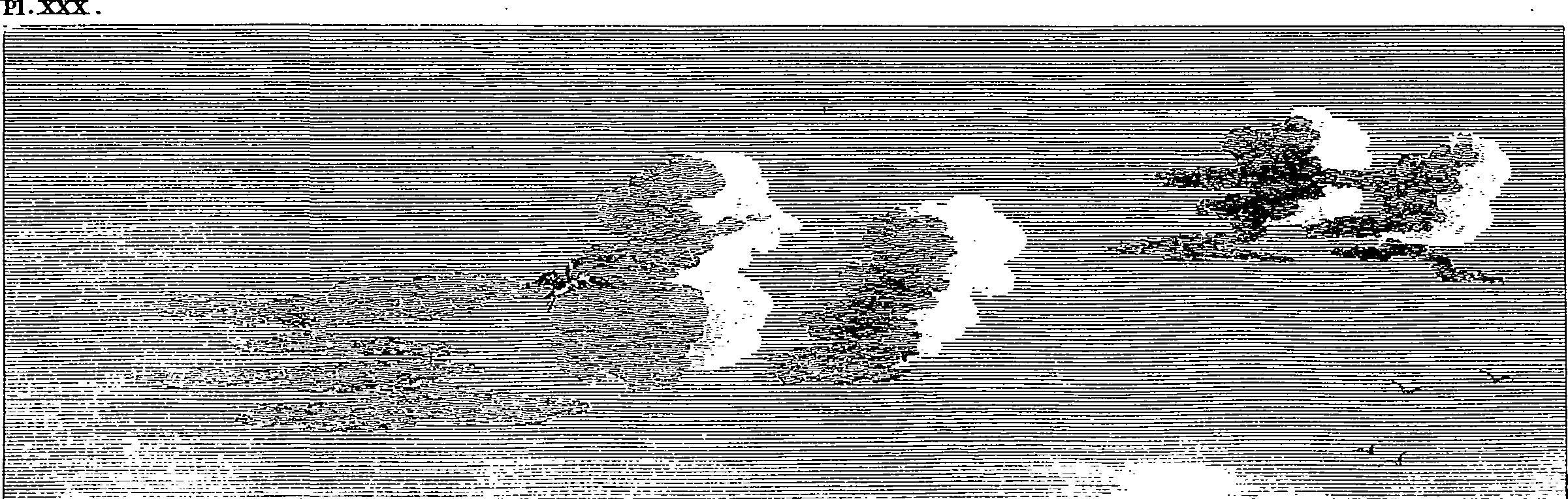 126/126400020002730_0.png