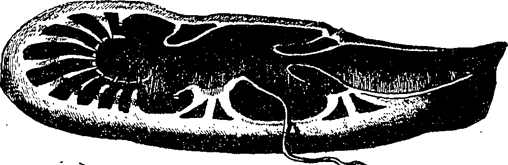 126/126400020003110_1.png