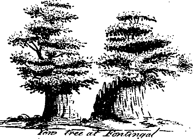 126/126400020003270_0.png