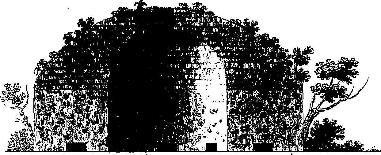 126/126400020003870_0.png