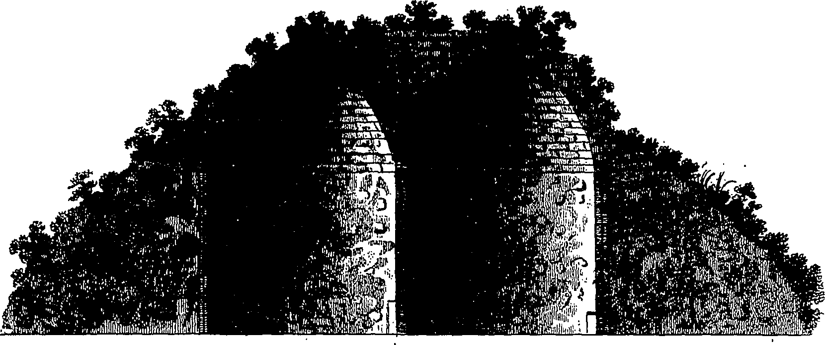 126/126400020003880_1.png