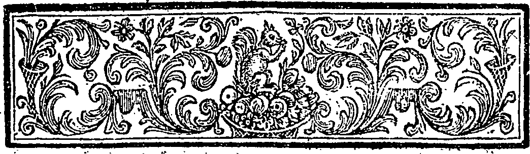 126/126450010000030_2.png