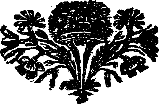 127/127200010300850_0.png